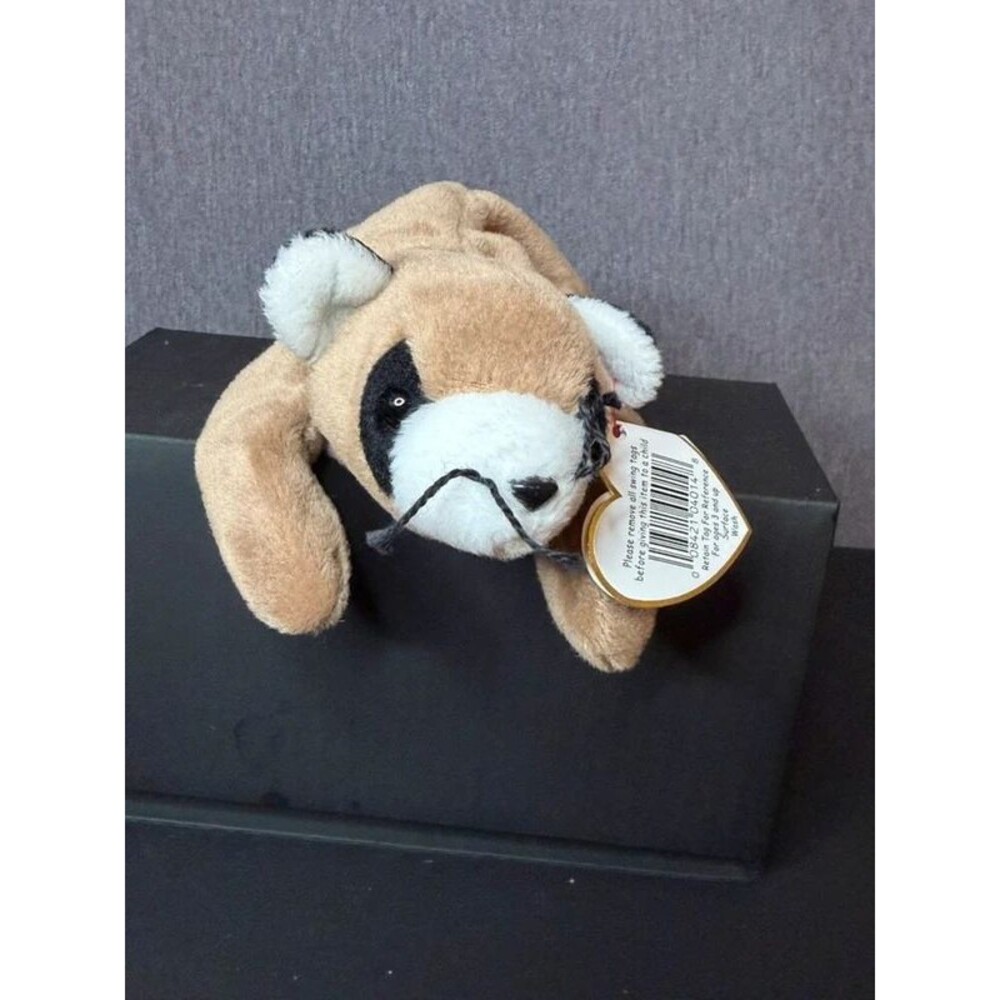 Ty Beanie Baby Ringo Raccoon 1995 With Hang Tag